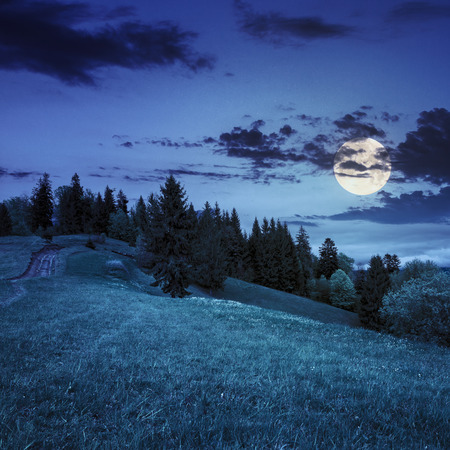 calm summer landscape in mountains. awesome coniferous forest near meadow  on hillside under epic sky with clouds at night in full moon lightの写真素材