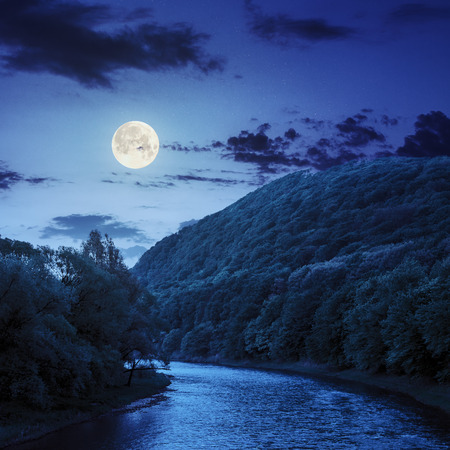 river flowing between green mountains through the forest at night in fool moon lightの写真素材