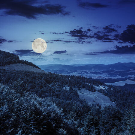 slope of mountain range with coniferous forest and village at night in full moon lightの写真素材