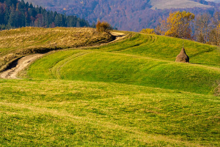 Stack of hay on a green meadow near the path in the mountains in morningの写真素材