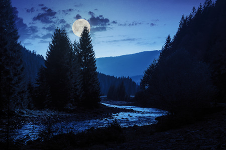 mountain river with stones and moss in the forest near the mountain slope at night in full moon lightの写真素材