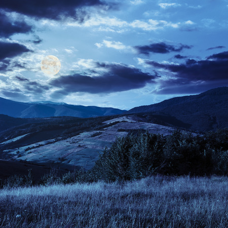 mountain landscape. trees near meadow and forest on hillside at night in full moon lightの写真素材