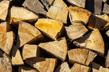 Yellow dry chopped conifer firewood logs background in a pile outdoor in sunlight