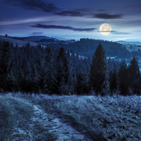 composite image of hillside of mountain range with coniferous forest and meadow path at night in full moon lightの写真素材