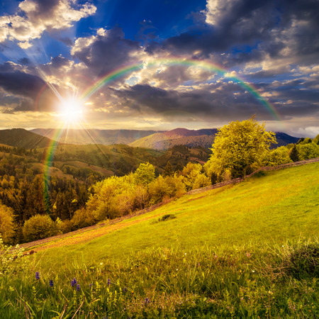 composite rural landscape. fence near the meadow and trees on the hillside. forest in fog on the mountain top in sunset light with rainbowの写真素材