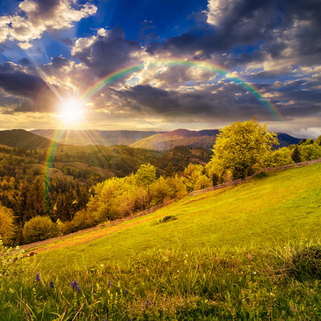 composite rural landscape. fence near the meadow and trees on the hillside. forest in fog on the mountain top in sunset light with rainbow