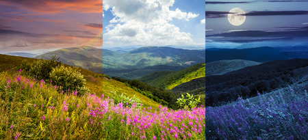 day and night collage of composite landscape with high wild grass and purple flowers on the top of high mountainの写真素材