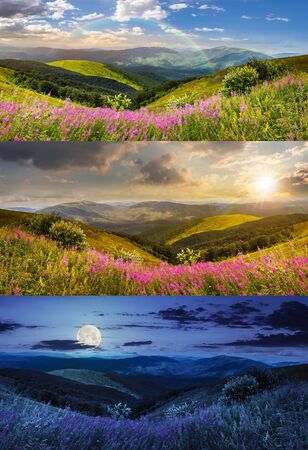 day and night collage of composite landscape with high wild grass and purple flowers on the top of high mountainの写真素材