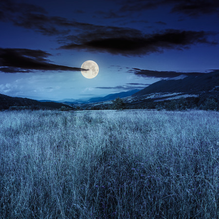 composite mountain summer landscape. Meadow with wild flowers in mountains at night in full moon lightの写真素材