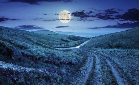 composite highland landscape. with pine forest far away near the road through hillside meadow at night in full moon lightの写真素材