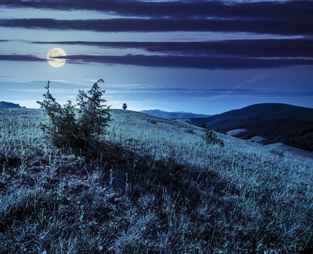 agricultural field on hillside in mountains near village at night in full moon lightの写真素材