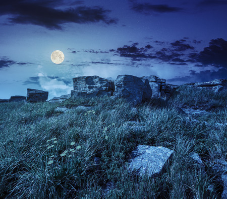 yellow dandelions in the grass among the huge rocks on hillside at night in full moon lightの写真素材