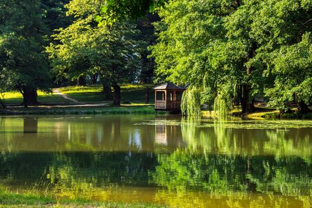 reflections on the pond in the green park in early morningの写真素材