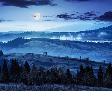 coniferous forest on hillside meadow woth fog over rural  valley in autumn mountains at night in full moon lightの写真素材