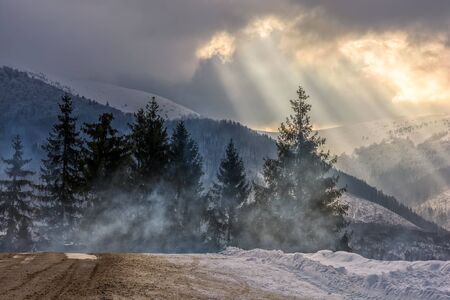 stormy winter sky over spruce forest in fog by the road at the mountain hill