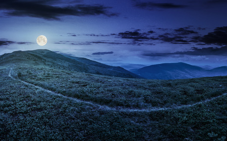 path through a large meadow on the hillside in high mountains at night in full moon lightの写真素材