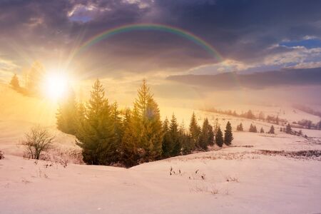 stormy winter sky over rural area in mountains near spruce forest under the rainbow in evening lightの写真素材