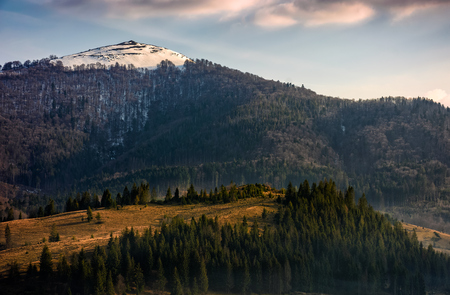 mountain ridge with snowy peaks. meadows in fog near the forest on hillside. beautiful and vivid springtime landscape.の写真素材