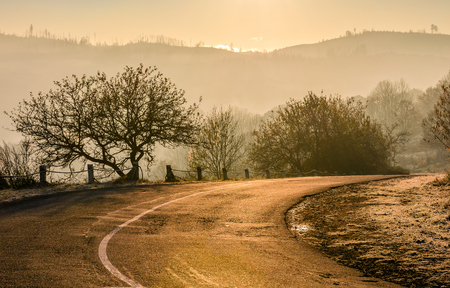 trees by the road uphill in rural area. beautiful springtime sunrise in mountainsの写真素材