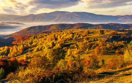 cold morning fog with golden hot sunrise in the valley of Carpathian mountain range. trees with colorful foliage on the hillside meadow lit by first rays of sunの写真素材