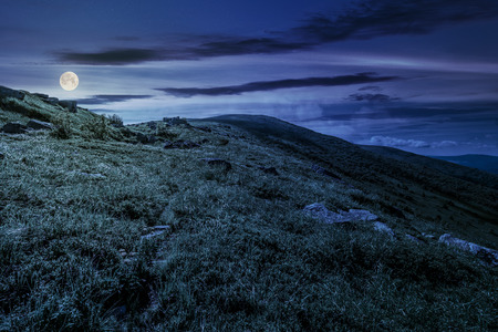 grassy meadow of a hillside on top of mountain ridge. beautiful summer landscape with blue sky and a cloudの写真素材