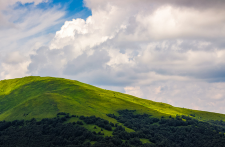 beautiful summer landscape in mountains. fine weather with blue sky and clouds. gorgeous travel backgroundの写真素材