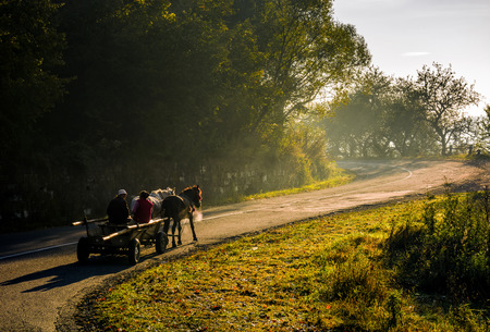 Volovets, Ukraine - SEP 30, 2016: gypsy family ride a horse cart uphill the serpentine in countryside area. bright autumnal foggy sunrise in Carpathian mountainsの写真素材