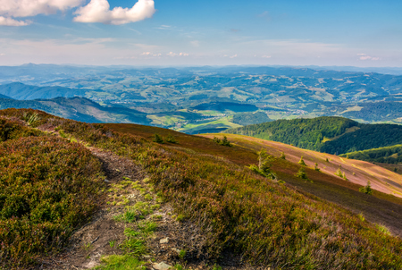 footpath on the edge of alpine hillside. beautiful view of valley in Carpathian mountainous regionの写真素材