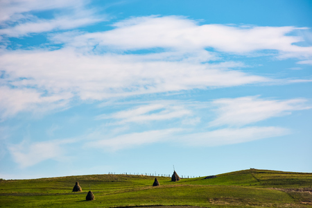 hay stacks on grassy hills under the beautiful cloudy blue sky. lovely Carpathian countryside...