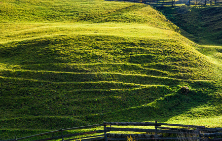 beautiful grassy hillside in sunlight. lovely agricultural backgroundの写真素材