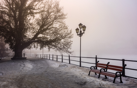 city embankment in foggy winter morning. beautiful european cityscape  scenery with tree, lantern and wooden bench.の写真素材