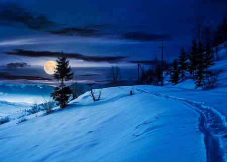 rural footpath through snowy hillside at night in full moon light. beautiful scenery of mountainous countryside in winterの写真素材
