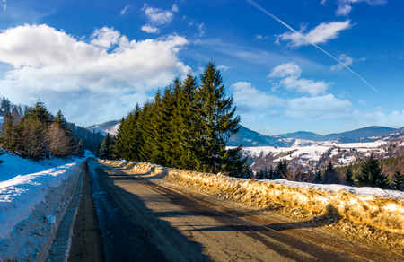 road through forest in winter. beautiful nature scenery with spruce trees on  cloudy day. lovely transportation background.の写真素材