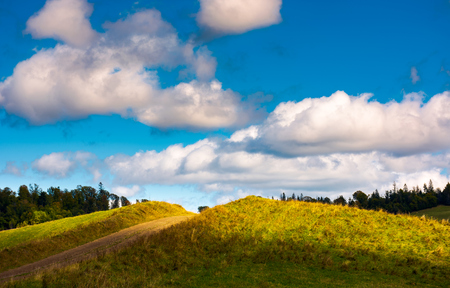 road through grassy meadow on a forested hill. lovely nature scenery under the cloudy skyの写真素材