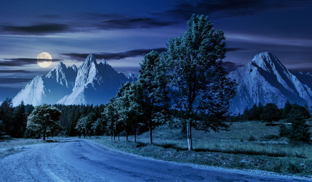trees along the road in to the mountains at night in full moon. composite mountainous landscape with rocky peaks. beautiful summer nature with gorgeous sky. travel and explore unknown places conceptの写真素材