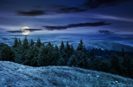 summer landscape with forested hills at night in full moon light. beautiful scenery of Svydovets mountain ridge, Ukraineの写真素材