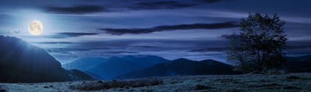 panorama of a mountainous landscape. trees on the grassy meadow. power line tower in the distance. beautiful autumn night in full moon lightの写真素材