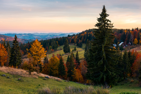 reddish dawn in mountains. beautiful autumn countryside. village near the forest in the distanceの写真素材