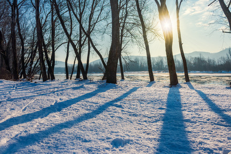winter scenery near the river. dark naked trees on a snow covered bankの写真素材