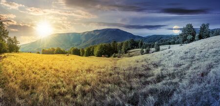 day and night time change in mountains. panorama with beech trees on the grassy meadow. ridge in the...