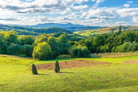 amazing countryside landscape in mountains. wonderful sunny sunset with clouds on the sky. forest on hills behind the rural field with haystacks. ridge with high peak in the distanceの写真素材