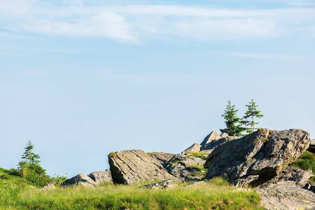 beautiful summer scenery of fagaras mountains. spruce trees on the huge boulders on the grassy steep slope. sunny weather with clouds on the blue skyの写真素材
