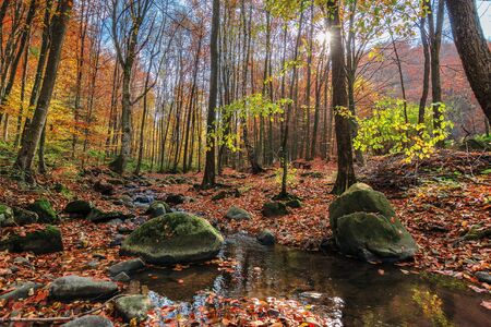 water stream among the rock in forest. beautiful nature scenery on a sunny autumn afternoon. crystal...