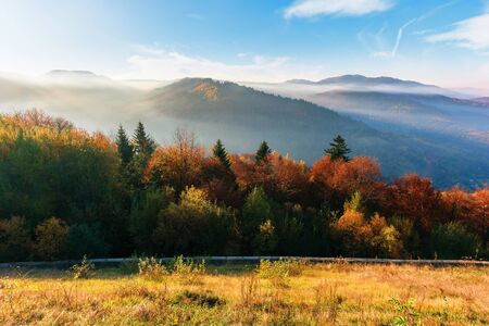 misty sunrise in carpathian mountains. amazing nature scenery in fall season. trees in red and orange foliage. hillside in weathered grass. distant ridge in hazy atmosphere beneath a blue skyの写真素材