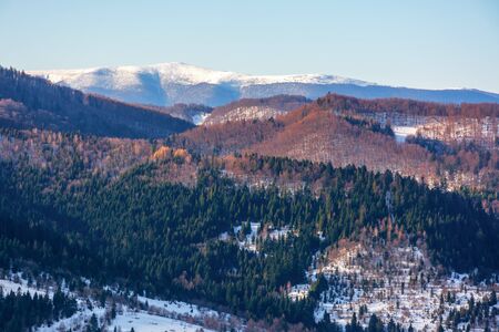 winter scenery in mountains. forested hills in snow. lovely cold weather backgroundの写真素材
