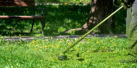 grass care with brush cutter. working with professional grade garden tool in the park. using trimmer...