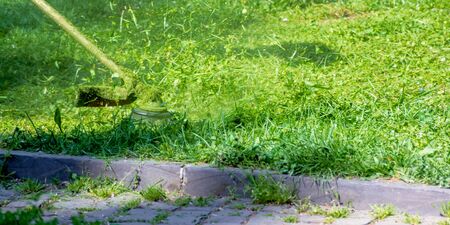 grass care with brush cutter. working with professional grade garden tool in the park. using trimmer...