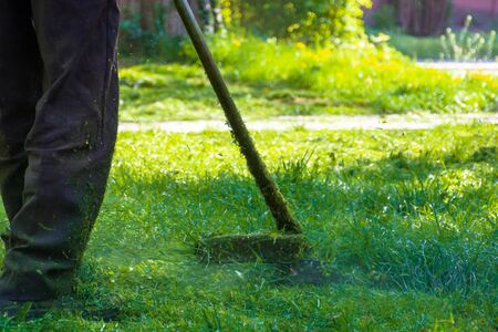 lawn care maintenance. professional grass cutting in the yard