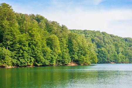 lake among beech forest of vihorlat mountains. calm nature landscape in summer. sky and trees reflecting in the water. sunny afternoon weather with fluffy cloudsの写真素材