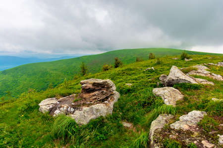 boulders on the alpine hillside. view from the edge of a hill. beautiful summer landscape in mountains. overcast windy weather  with grey clouds on the skyの写真素材